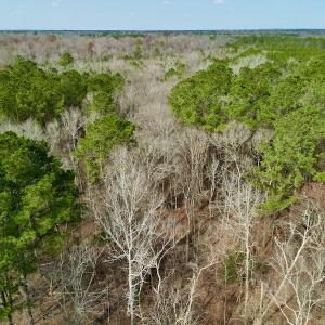 Photo #13 of OFF SR 1327, Trenton, NC 3.4 acres