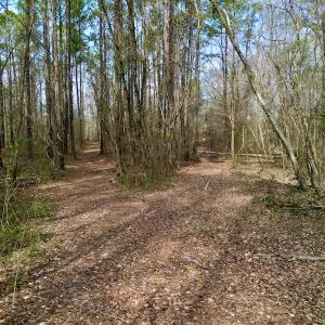 Photo #18 of OFF SR 1327, Trenton, NC 3.4 acres