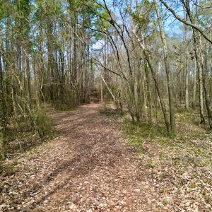 Photo #19 of OFF SR 1327, Trenton, NC 3.4 acres