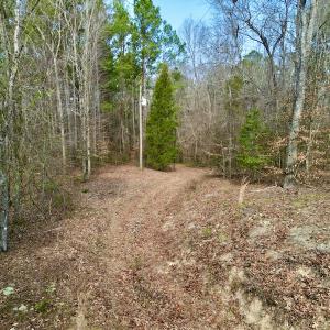 Photo #20 of OFF SR 1327, Trenton, NC 3.4 acres