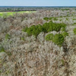 Photo #3 of OFF SR 1327, Trenton, NC 3.4 acres