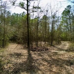 Photo #22 of OFF SR 1327, Trenton, NC 3.4 acres