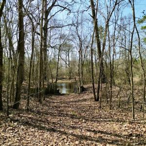 Photo #23 of OFF SR 1327, Trenton, NC 3.4 acres