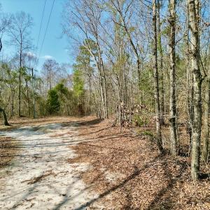 Photo #27 of OFF SR 1327, Trenton, NC 3.4 acres