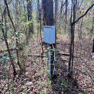 Photo #31 of OFF SR 1327, Trenton, NC 3.4 acres