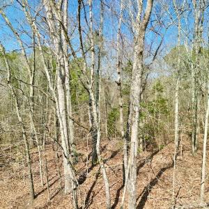Photo #32 of OFF SR 1327, Trenton, NC 3.4 acres