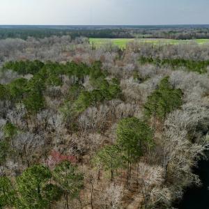 Photo #5 of OFF SR 1327, Trenton, NC 3.4 acres