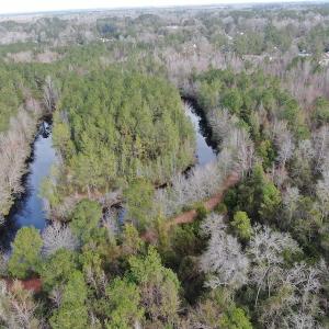 Photo #6 of SOLD property in 345 Conway Road, Fairbluff, NC 20.0 acres