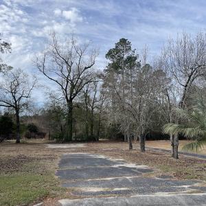 Photo #7 of SOLD property in 345 Conway Road, Fairbluff, NC 20.0 acres