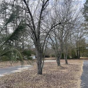 Photo #8 of SOLD property in 345 Conway Road, Fairbluff, NC 20.0 acres
