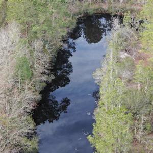 Photo #9 of SOLD property in 345 Conway Road, Fairbluff, NC 20.0 acres