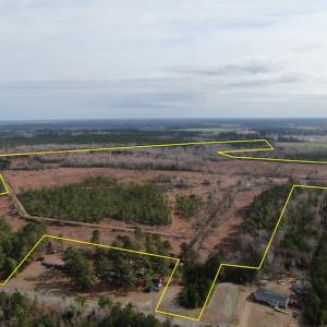Photo #2 of Off US 76, Fairbluff, NC 182.6 acres