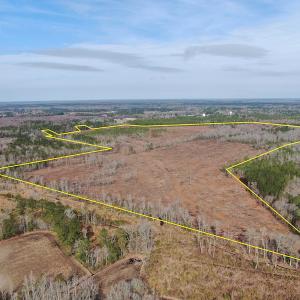Photo #3 of Off US 76, Fairbluff, NC 182.6 acres