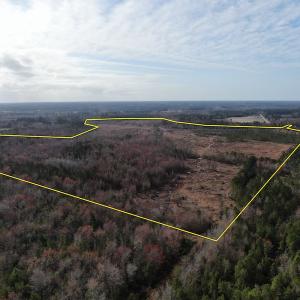 Photo #4 of Off US 76, Fairbluff, NC 182.6 acres