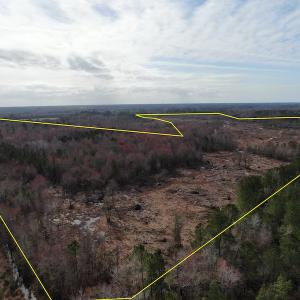Photo #5 of Off US 76, Fairbluff, NC 182.6 acres