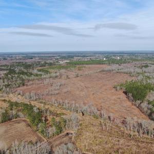 Photo #7 of Off US 76, Fairbluff, NC 182.6 acres