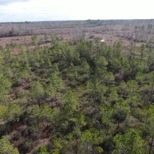 Photo #8 of Off US 76, Fairbluff, NC 182.6 acres