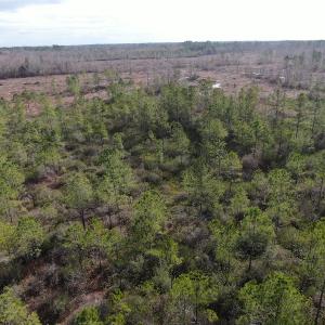 Photo #8 of Off US 76, Fairbluff, NC 182.6 acres