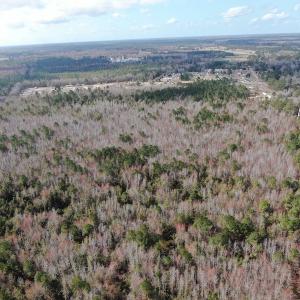 Photo #9 of Off US 76, Fairbluff, NC 182.6 acres
