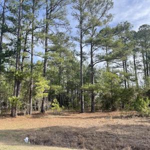 Photo #10 of Off US 76, Fairbluff, NC 182.6 acres