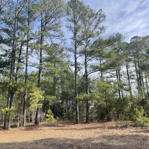 Photo #11 of Off US 76, Fairbluff, NC 182.6 acres
