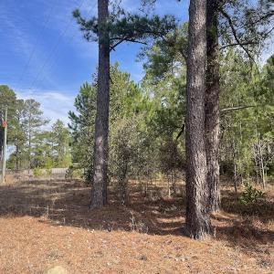 Photo #12 of Off US 76, Fairbluff, NC 182.6 acres