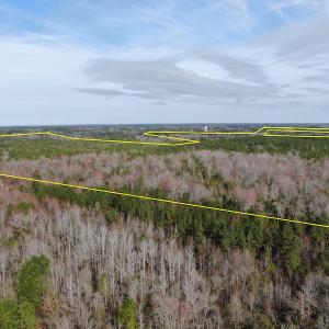 Photo #3 of Off NC 904, Fair Bluff, NC 355.0 acres