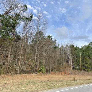 Photo #6 of Off NC 904, Fair Bluff, NC 355.0 acres