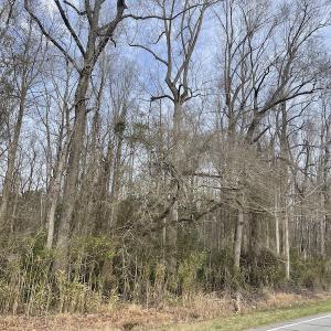 Photo #9 of Off NC 904, Fair Bluff, NC 355.0 acres
