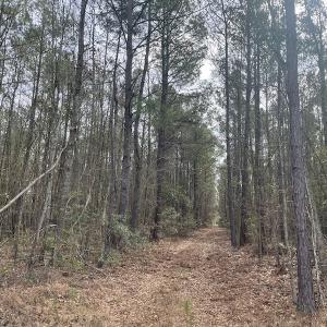 Photo #10 of Off NC 904, Fair Bluff, NC 355.0 acres