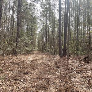 Photo #11 of Off NC 904, Fair Bluff, NC 355.0 acres