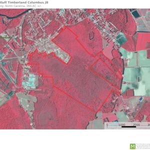 Photo #16 of Off NC 904, Fair Bluff, NC 355.0 acres