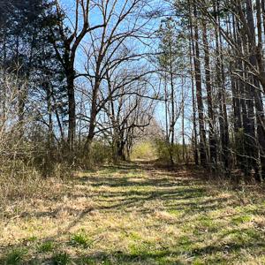 Photo #8 of SOLD property in OFF Western Mill Road , Lawrenceville, VA 40.0 acres