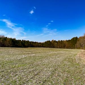 Photo #5 of SOLD property in OFF Western Mill Road , Lawrenceville, VA 40.0 acres