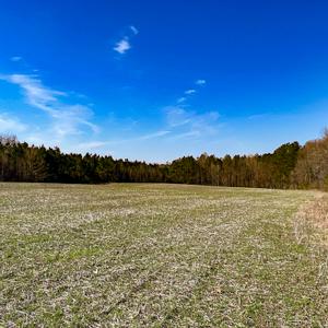 Photo #5 of OFF Western Mill Road , Lawrenceville, VA 40.0 acres