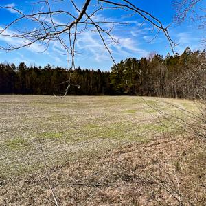 Photo #6 of SOLD property in OFF Western Mill Road , Lawrenceville, VA 40.0 acres