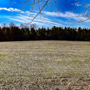 Photo #7 of SOLD property in OFF Western Mill Road , Lawrenceville, VA 40.0 acres