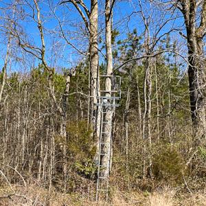 Photo #9 of SOLD property in OFF Western Mill Road , Lawrenceville, VA 40.0 acres