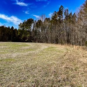 Photo #10 of SOLD property in OFF Western Mill Road , Lawrenceville, VA 40.0 acres