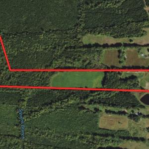 Photo #1 of SOLD property in OFF Western Mill Road , Lawrenceville, VA 40.0 acres