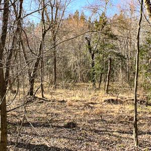 Photo #15 of SOLD property in OFF Western Mill Road , Lawrenceville, VA 40.0 acres