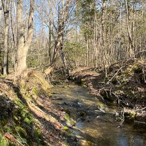 Photo #23 of SOLD property in OFF Western Mill Road , Lawrenceville, VA 40.0 acres