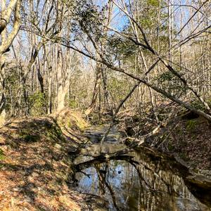 Photo #24 of OFF Western Mill Road , Lawrenceville, VA 40.0 acres