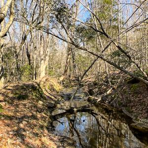Photo #24 of SOLD property in OFF Western Mill Road , Lawrenceville, VA 40.0 acres