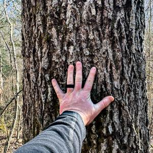 Photo #28 of SOLD property in OFF Western Mill Road , Lawrenceville, VA 40.0 acres