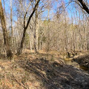 Photo #30 of SOLD property in OFF Western Mill Road , Lawrenceville, VA 40.0 acres