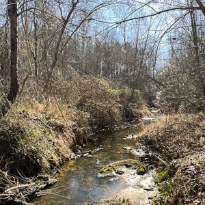 Photo #33 of OFF Western Mill Road , Lawrenceville, VA 40.0 acres