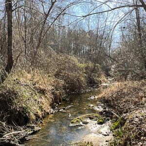 Photo #33 of SOLD property in OFF Western Mill Road , Lawrenceville, VA 40.0 acres