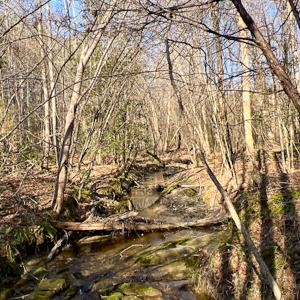 Photo #34 of SOLD property in OFF Western Mill Road , Lawrenceville, VA 40.0 acres