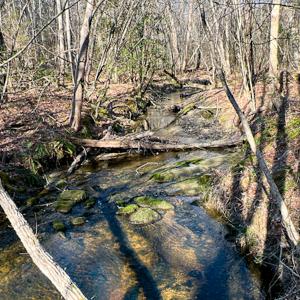 Photo #35 of SOLD property in OFF Western Mill Road , Lawrenceville, VA 40.0 acres